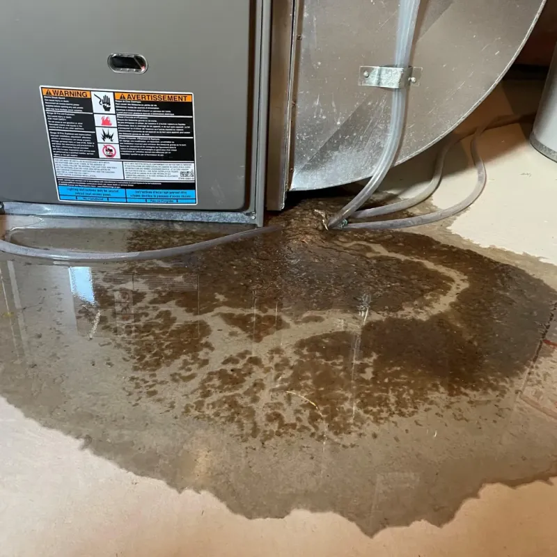 Appliance Leak Cleanup in Alondra Park, CA