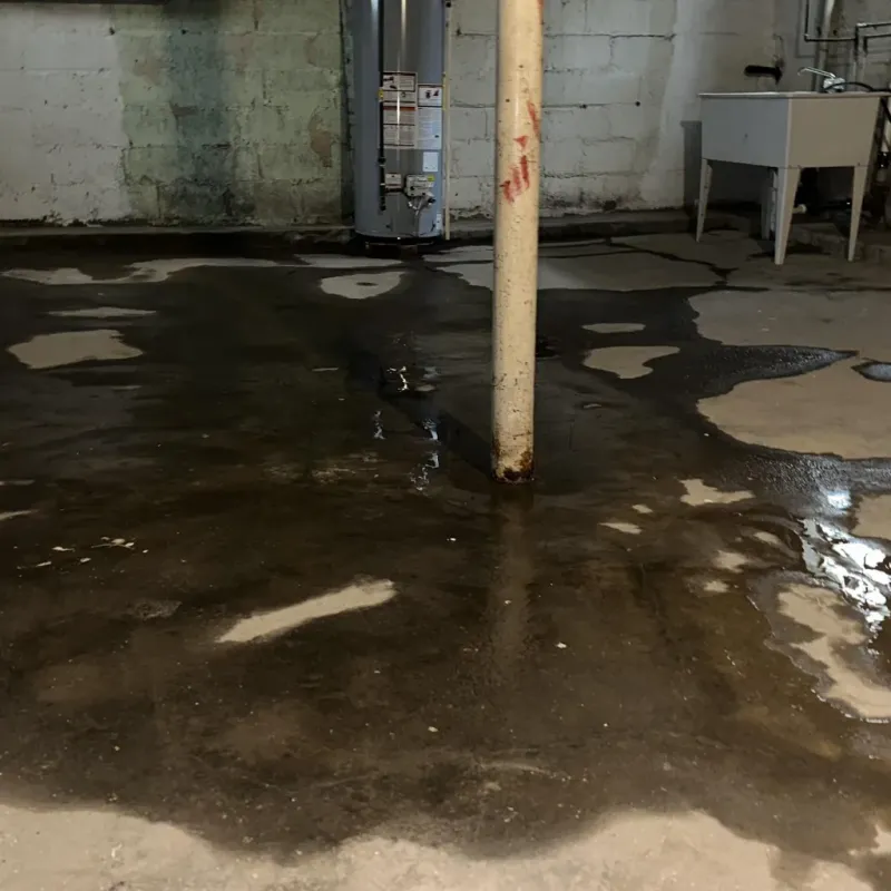 Emergency Water Extraction And Removal in Alondra Park, CA